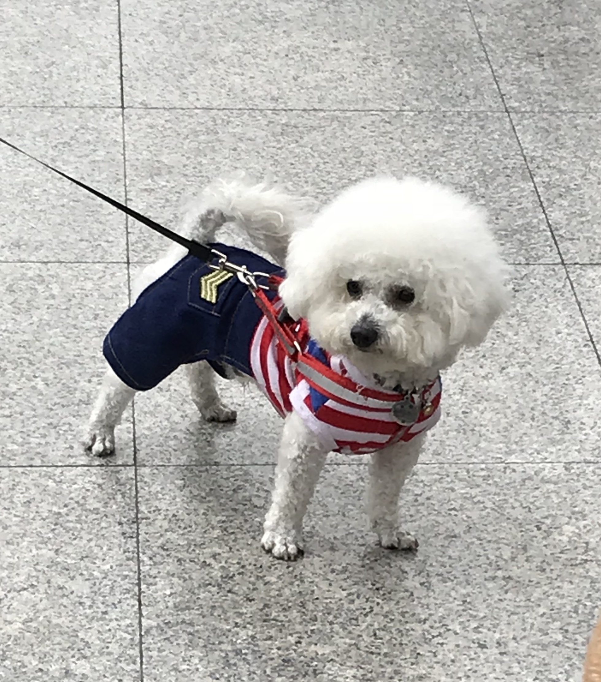 ./2018/03 - Viking China/15 - Chongqing/IMG_E7111.JPG